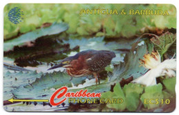 Antigua & Barbuda - Green Backed Heron - 104CATB (with Ø) - Antigua And Barbuda