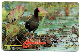 Antigua & Barbuda - Common Moorhen - 104CATA (with Ø) - Antigua Y Barbuda