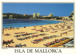 CPSM Mallorca-Magaluf      L2666 - Otros & Sin Clasificación