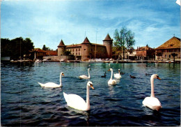 28-2-2024 (1 Y 28) France - Castles Of Morges (& Swan / Cygnes) - Castelli