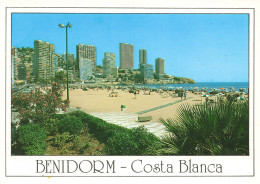 CPSM Benidorm     L2667 - Other & Unclassified
