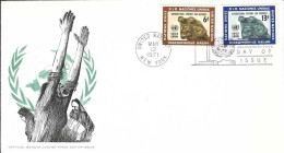 Envellope NATIONS UNIS 1e Jour N° 209 - 210 Y & T - Covers & Documents