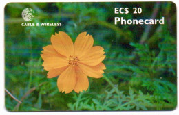 Antigua & Barbuda - Orange Cosmos (Red Chip) - Antigua E Barbuda