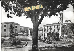 Molise-campobasso-vinchiaturo Piazza Municipio E Fontana Monumentale Giardini Animatissima Veduta Anni 50 60 - Altri & Non Classificati