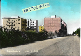 Molise-campobasso-campomarino Viale Al Mare Panoramica Veduta Anni 60 - Altri & Non Classificati