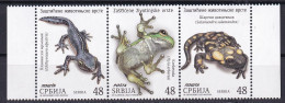 SERBIA 2023,FAUNA,ANIMALS,AMPHIBIANS,FROGS, Alpine Newt Fire Salamander,MNH - Frösche