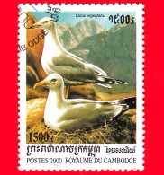 CAMBOGIA - Nuovo Oblit. - 2000 - Uccelli Marini - Gabbiano - Larus Argentatus - European Herring Gull - 1500 - Cambodia