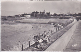 17 - ANGOULINS SUR MER - CHARRETTE  AU DEPART POUR LA PECHE AUX HUITRES - PLAGE ST JEAN DES SABLES - Angoulins