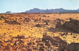 ALGERIE - Hoggar - Paysage - Landschaft - Scenery - Vue D'un Paysage - Carte Postale - Andere & Zonder Classificatie