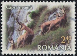 Roumanie 2023 Oblitéré Used Animal Rupicapra Rupicapra Chamois Y&T RO 7057 SU - Usati