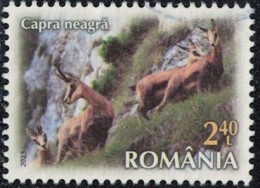 Roumanie 2023 Oblitéré Used Animal Rupicapra Rupicapra Chamois Y&T RO 7057 SU - Used Stamps