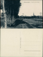 Ansichtskarte Elsterwerda Wikow Partie An Der Elster 1920 - Elsterwerda