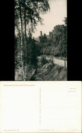 Bad Schweizermühle-Rosenthal-Bielatal Umland-Ansicht Johanniswacht Partie 1959 - Rosenthal-Bielatal