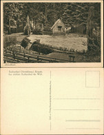 Oberschlema-Bad Schlema Naturtheater Im Radiumbad, Erzgebirge Postkarte 1930 - Bad Schlema