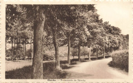 BELGIQUE - Marche - Promenade De Nérette - Carte Postale Ancienne - Marche-en-Famenne