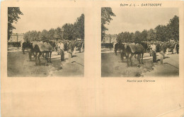 CARTE STEREOSCOPIQUE  MARCHE AUX CHEVAUX  CARTOSCOPE - Stereoscope Cards