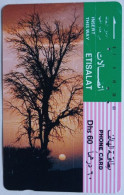 UAE Etisalat Dhs. 60 Tamura Card - Tree At Sunset - Emirati Arabi Uniti