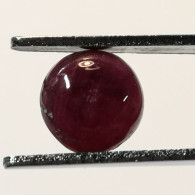 Rubis Traité Chauffe (résidus) 1,39 Carat Du Tanzanie  | 6,3 X 3,4 Mm  | Cabochon Rond - Rubin