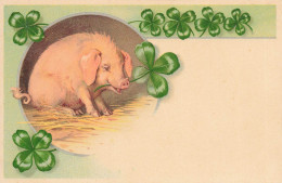 Cochon Pig * CPA Illustrateur Jugendstil Art Nouveau * Porte Bonheur Trèfle Quatre Feuilles * Cochons - Cochons