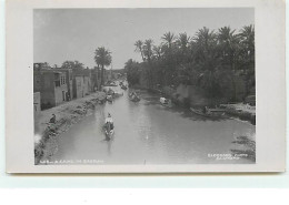IRAQ - A Canal In Basrah - Irak