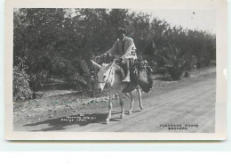 IRAQ - Morning Ride On Alwiye Road - Iraq