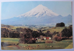 NOUVELLE-ZELANDE - Mount Egmont - Nouvelle-Zélande