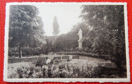 KAIN  -  La Sainte Union Des Sacrés Coeurs - Pensionnat Et Juvénat -  Un Coin De Jardin - Tournai