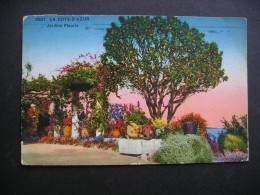 La Cote-d'Azur.Jardins Fleuris 1929 - Parcs Et Jardins