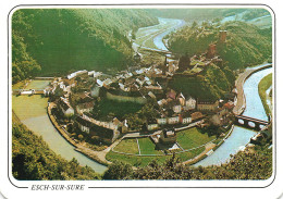 LUXEMBOURG - Esch Sur Sure - Panorama De La Ville - Colorisé - Carte Postale - Esch-Sauer