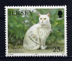 Jersey 1994 Cat Y.T. 640 (0) - Jersey