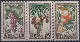 Algérie - YT N° 279 à 281 ** - Neuf Sans Charnière - 1950 - Unused Stamps