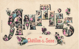 Châtillon Sur Seine * Souvenir Du Village , Amitiés ! - Chatillon Sur Seine