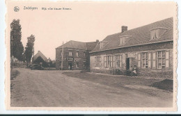 Zedelgem - Wijk - De Blauwe Kroon - Café In 't Park  - Zedelgem