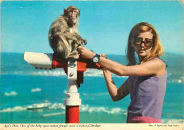 Gibraltar - Ape's Den - One Of The Baby Apes Makes Friends With A Visitor - Singes - CPM - Voir Scans Recto-Verso - Gibraltar