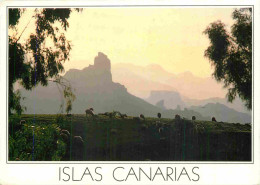 Espagne - Espana - Islas Canarias - Roque Bentayga - CPM - Voir Scans Recto-Verso - Autres & Non Classés