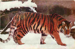Animaux - Fauves - Tigre - Tigre Dans La Neige - CPM - Voir Scans Recto-Verso - Tigri