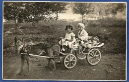 CPA Voiture à Chien VARNA Ou BANIA SERBIE Carte Photo RPPC écrite Voir Scan Du Dos - Servië