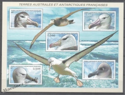 TAAF French Southern And Antarctic Territories 2007 Yvert BF 17, Fauna. Birds. Albatros - Miniature Sheet - MNH - Neufs