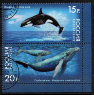 Rußland 2012 - Mi.Nr. 1788 - 1789 - Gestempelt Used - Tiere Animals Wale Wales - Oblitérés