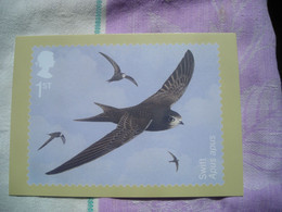 PHQ  Migratory Birds, Oiseaux Migrateurs, Swift, Martinet - Francobolli (rappresentazioni)