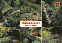 Postcard Shanklin Chine Isle Of Wight [ Nigh ] My Ref B26350 - Shanklin