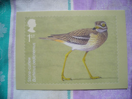 PHQ  Migratory Birds, Oiseaux Migrateurs, Stone-curlew, Sterne Arctique - Francobolli (rappresentazioni)