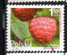POLONIA POLAND POLSKA 2011 FRUIT AND FLOWERS RUBUS IDAEUS 1.55z USED USATO OBLITERE' - Gebruikt