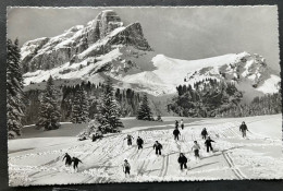 Ski - Abfahrt Von Braunwald - Alp - Braunwald