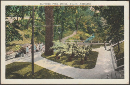 Elmwood Park Spring, Omaha, Nebraska, C.1930s - Eric Nelson News Co Postcard - Omaha