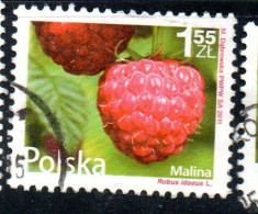 POLONIA POLAND POLSKA 2011 FRUIT AND FLOWERS RUBUS IDAEUS 1.55z USED USATO OBLITERE' - Used Stamps