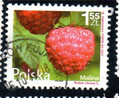 POLONIA POLAND POLSKA 2011 FRUIT AND FLOWERS RUBUS IDAEUS 1.55z USED USATO OBLITERE' - Gebraucht