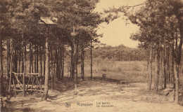 CP De Rijmenam Les Marais De Moerassen - Bonheiden