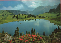 ZWEISIMMEN Seebergalp Mit Seebergsee Mit Mäniggrat, Niesenkette, Twirienhorn Und Gurbsgrat - Zweisimmen