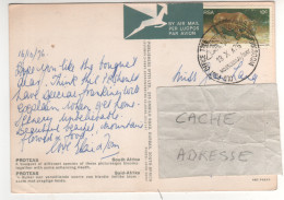 Timbre , Stamp " Mammifère : Rhinocéros " Sur CP , Carte , Postcard Du 18/10/76 - Lettres & Documents